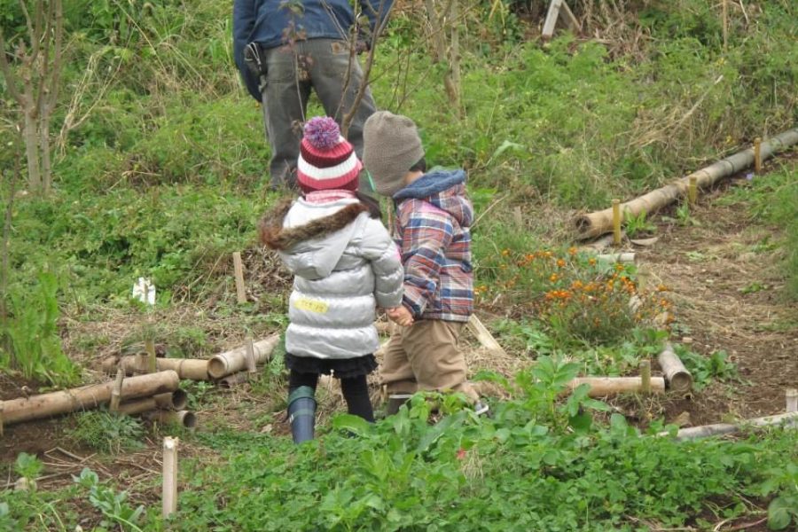 つながる菜園 の食 人 時間のつながり 第1回 エディブル スクールヤード 食育菜園 との出会い ササハタハツ新聞